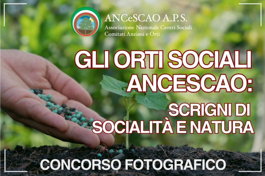 Al momento stai visualizzando Concorso fotografico sugli orti sociali Prorogata la scadenza: 31 ottobre